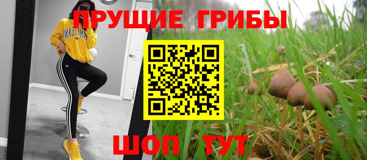Уфа  Галлюциногенные грибы ЛСД  Псилоцибиновые грибы мухоморы  Вход с VPN 